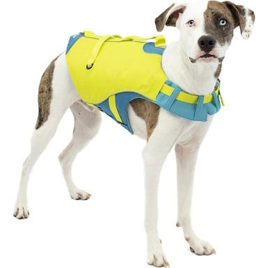 Kurgo Surf-n-Turf Dog Life Jacket