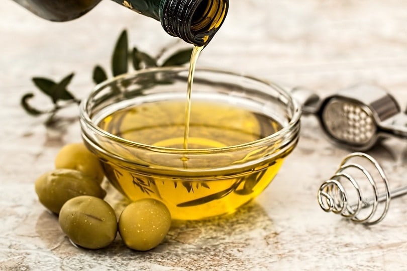 Is Olive Oil Safe for Dogs? Expert-Approved Health Information & Common Questions – Dogster Is Olive Oil Safe for Dogs? Expert-Approved Health Information & Common Questions – Dogster