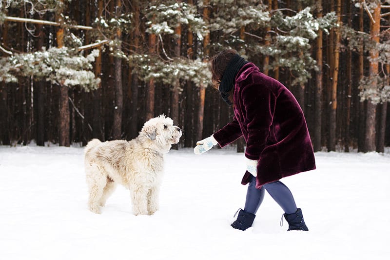 Owner playing with her dog