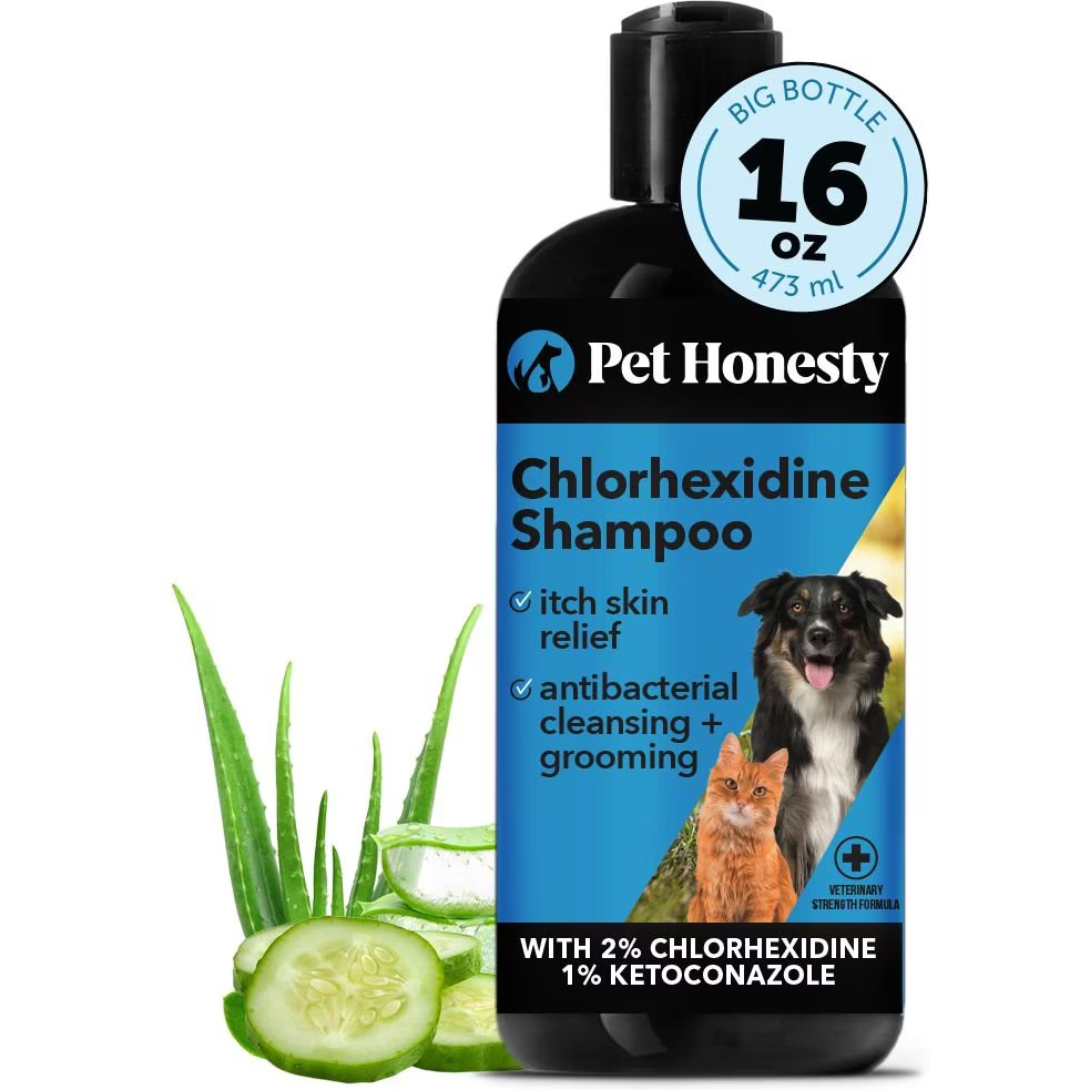 PetHonesty Chlorhexidine Antibacterial Cleansing & Odor Remover Dog Shampoo