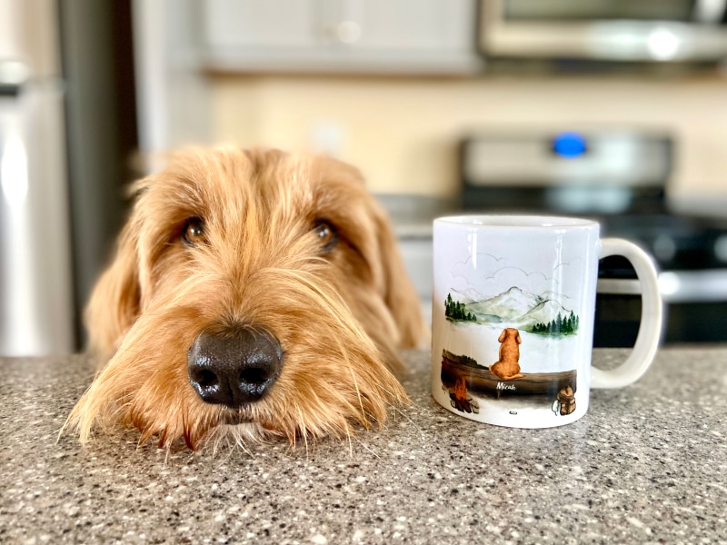 Unifury Mug - micah with mug on the counter