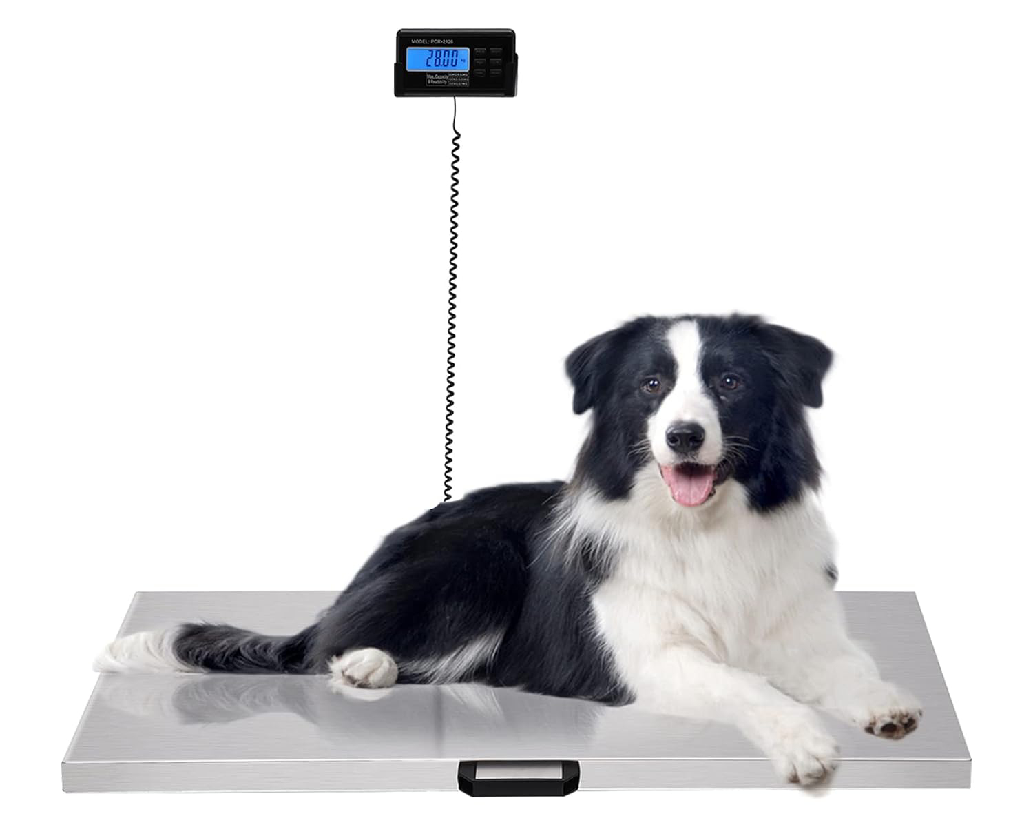 Veterinary Scale, 440LB Heavy Duty Digital Livestock Platform Scale