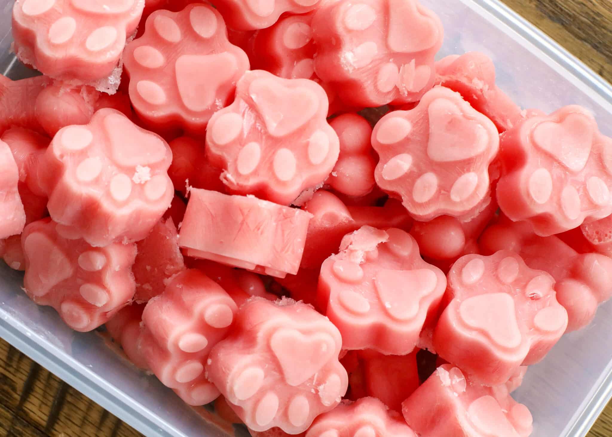 Watermelon Pupsicles