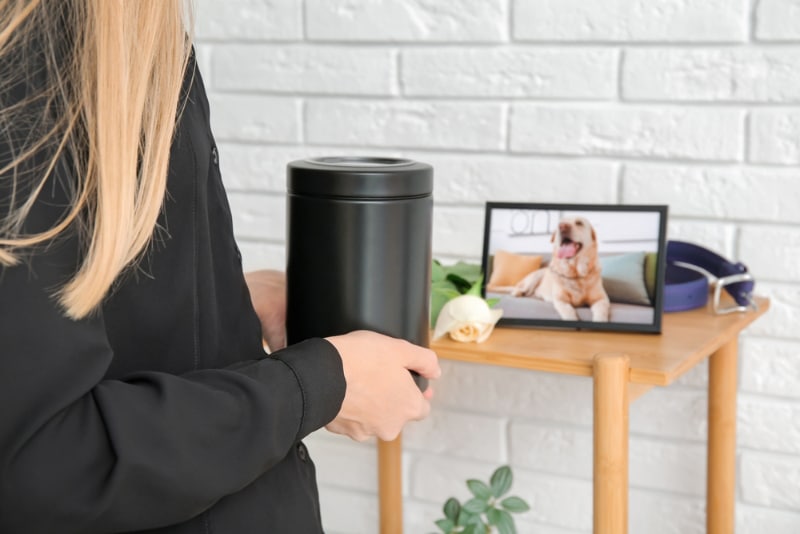 Woman holding mortuary urn and frame with picture of dog on table