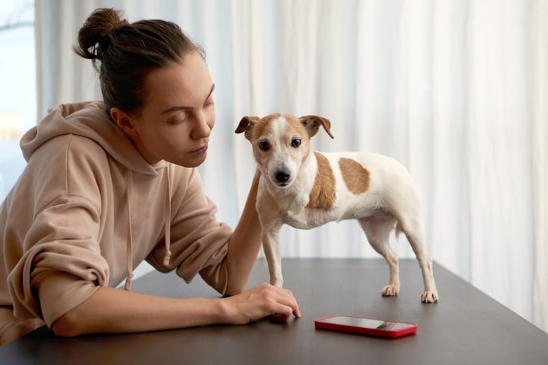 Woman petting 3-legged dog on the table