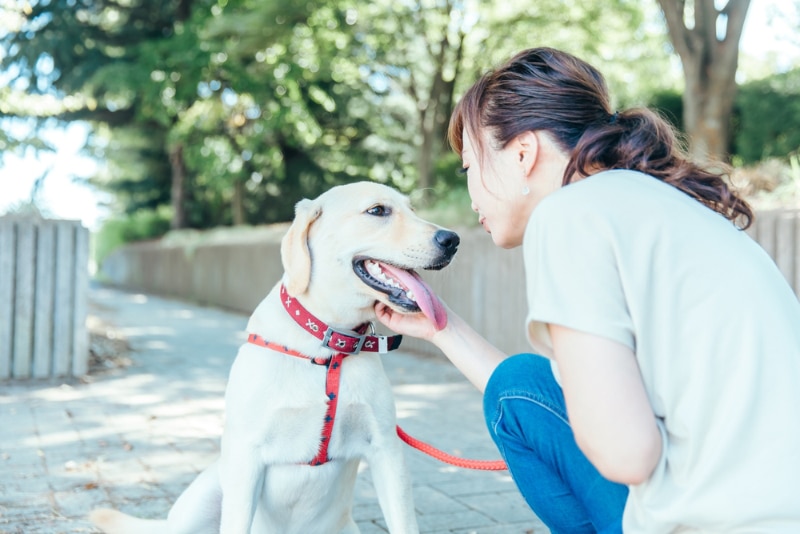 asian woman talking to her dog