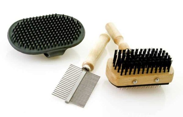 dog brushing tools