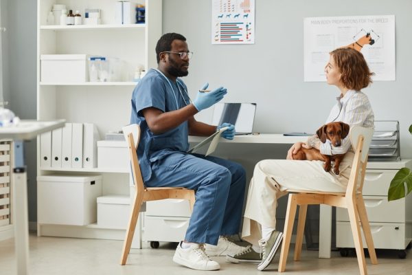 dog owner talking to vet