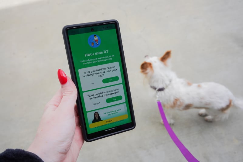 dogo app - leash walking feedback