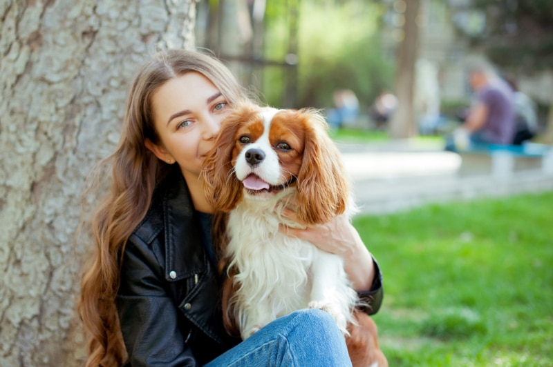 female owner playing with her cavalier king charles spaniel dog at the park