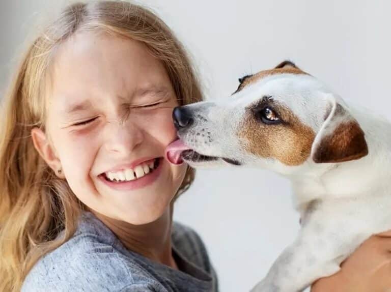 How to Get My Dog to Stop Licking Me 7 VetApproved Steps Dogster