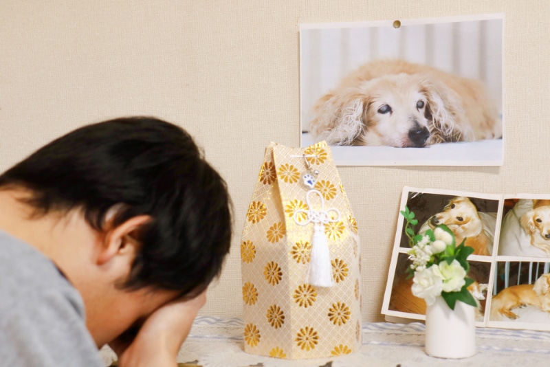 man crying over his deceased dog - photographs of dog and remains