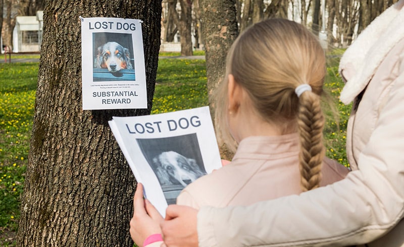 mom and child posting missing dog flyers