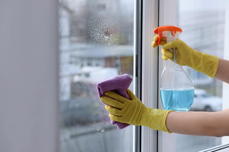 person cleaning the window