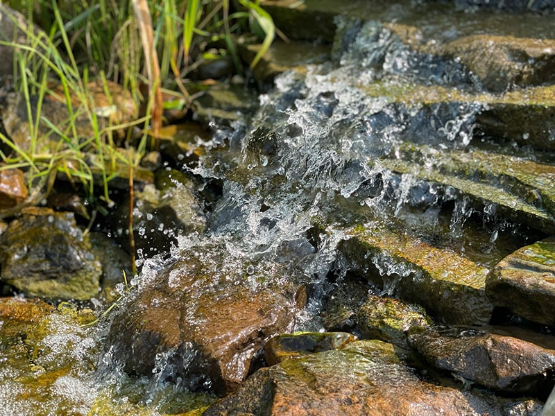 spring water flowing