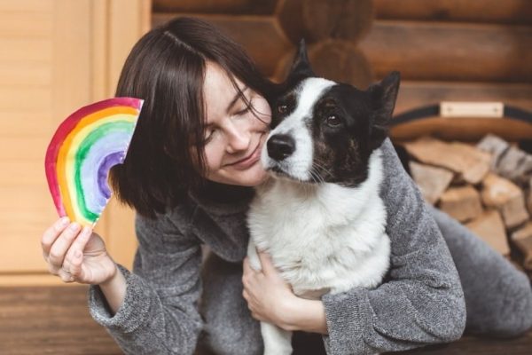 welsh corgi cardigan dog and his owner