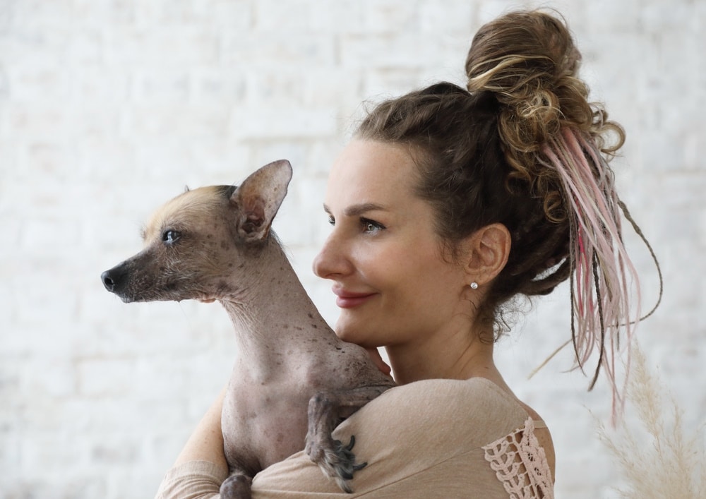 woman holding xoloitzcuintlis dog