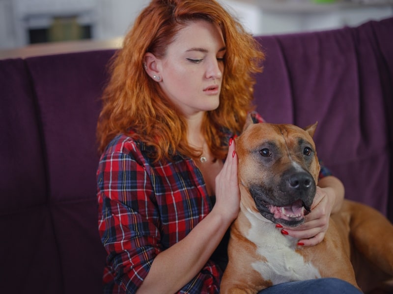 woman with american staffordshire terrier