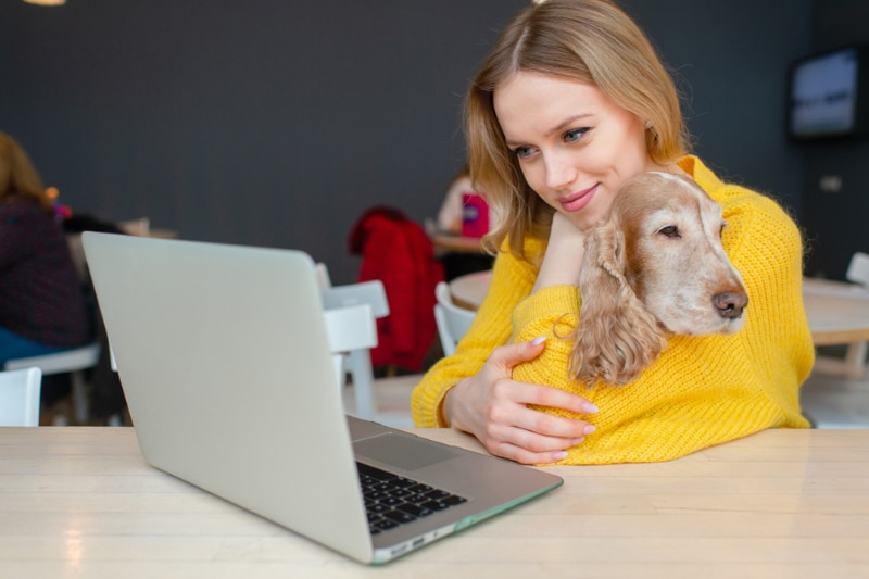 woman working on her laptop with cocker spaniel dog