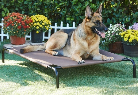 1Frisco Steel-Framed Elevated Dog Bed