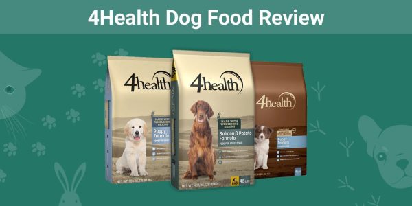 4health Dog Food Review - Featured Image