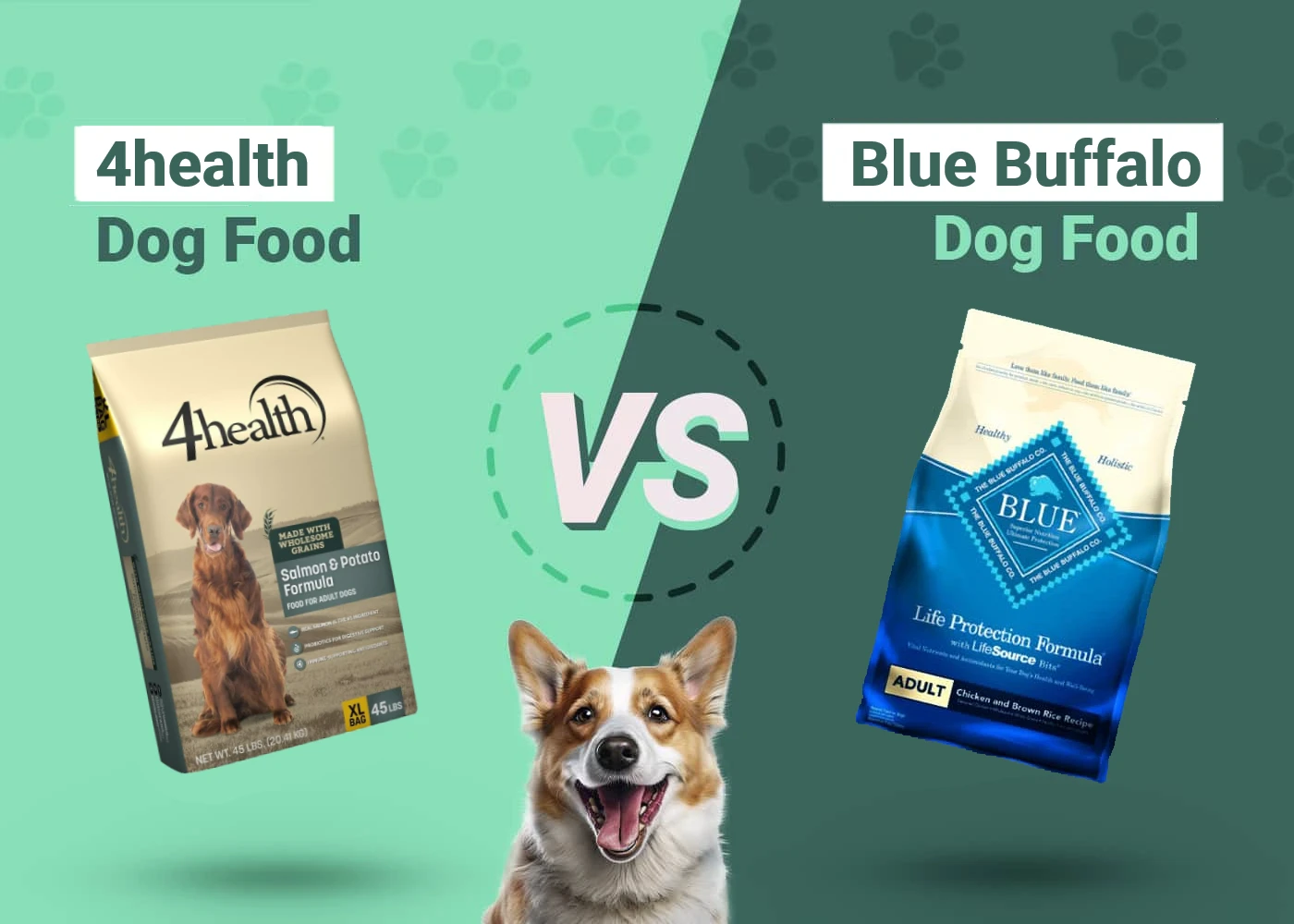 4health vs Blue Buffalo Dog Food - Featured Image