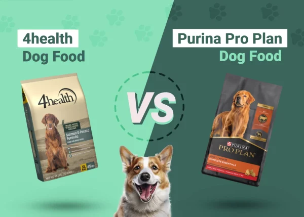 4health vs Purina Pro Plan - Featured Image