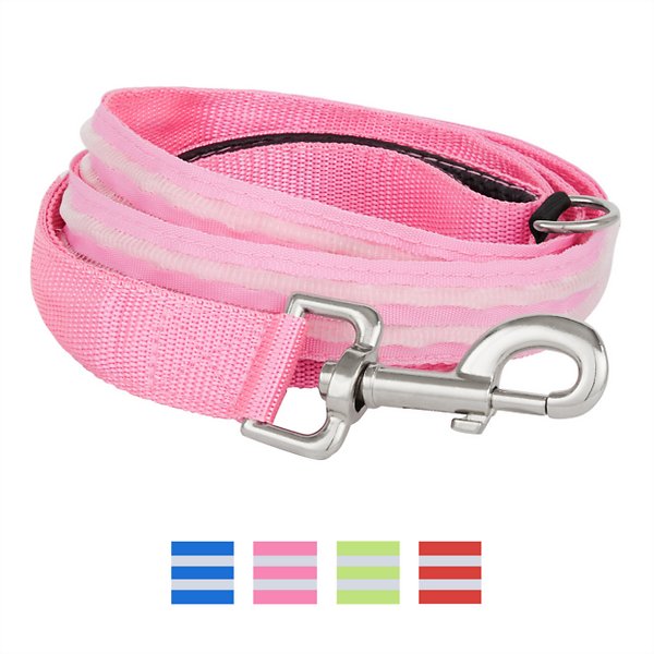 4id LED Lite-Up Nylon Dog Leash