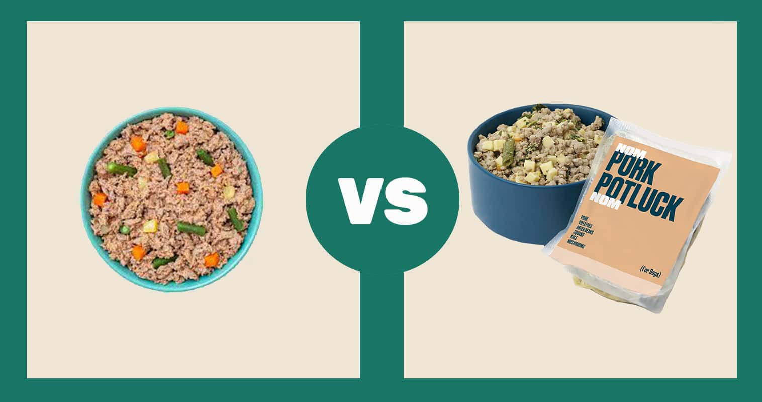 A-Pup-Above-Porkys-Luau-vs.-Nom-Nom-Pork-Potluck