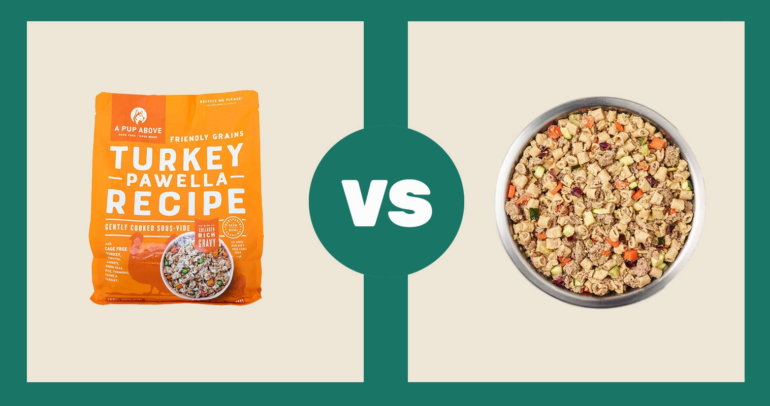 A Pup Above vs Just for Dogs