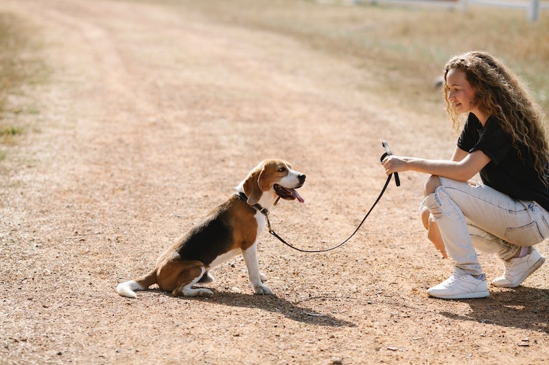 A woman and a beagle wearing a leash
