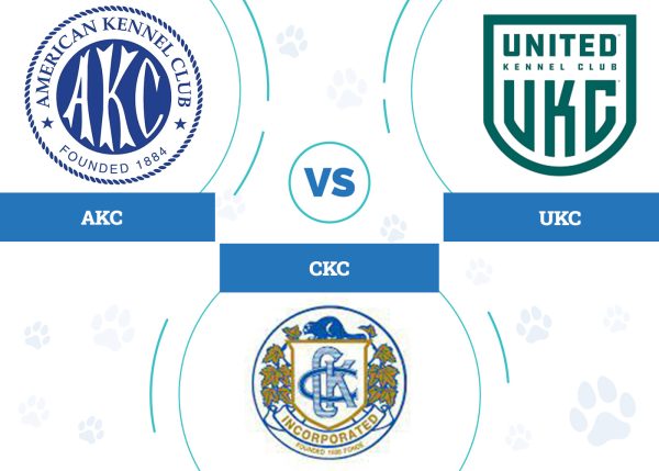 AKC vs CKC vs UKC