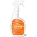 Angry Orange Pet Stain Remover Spray