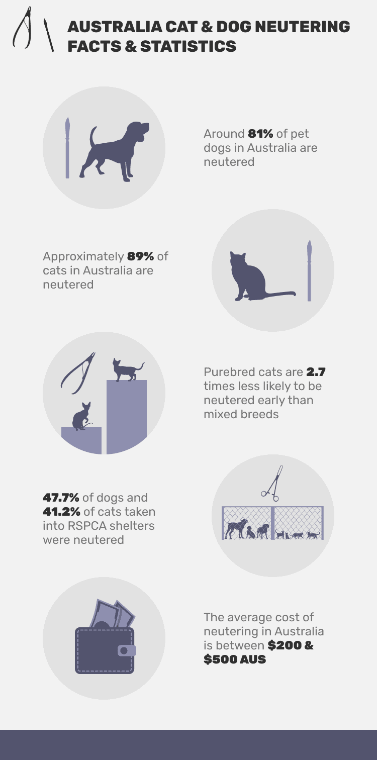 AUSTRALIA_CAT_&_DOG_NEUTERING_FACTS_&_STATISTICS