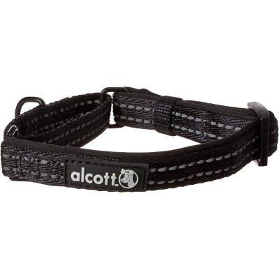 Alcott’s Martingale Dog Collar