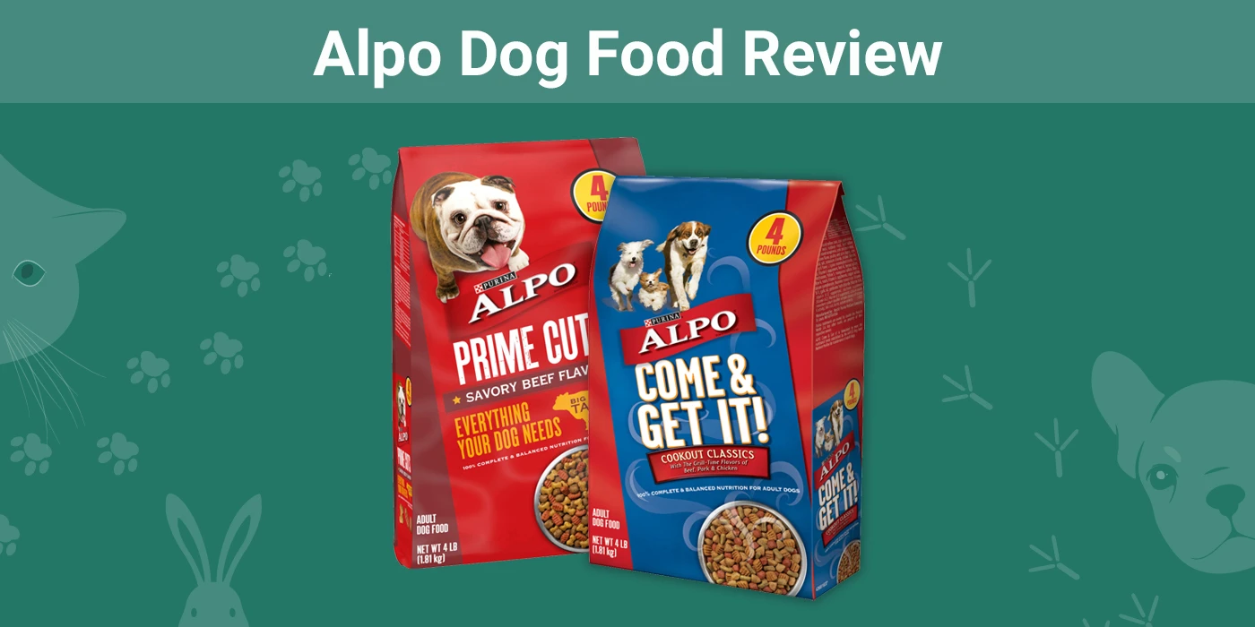 Alpo Dog Food Review - Featured Image