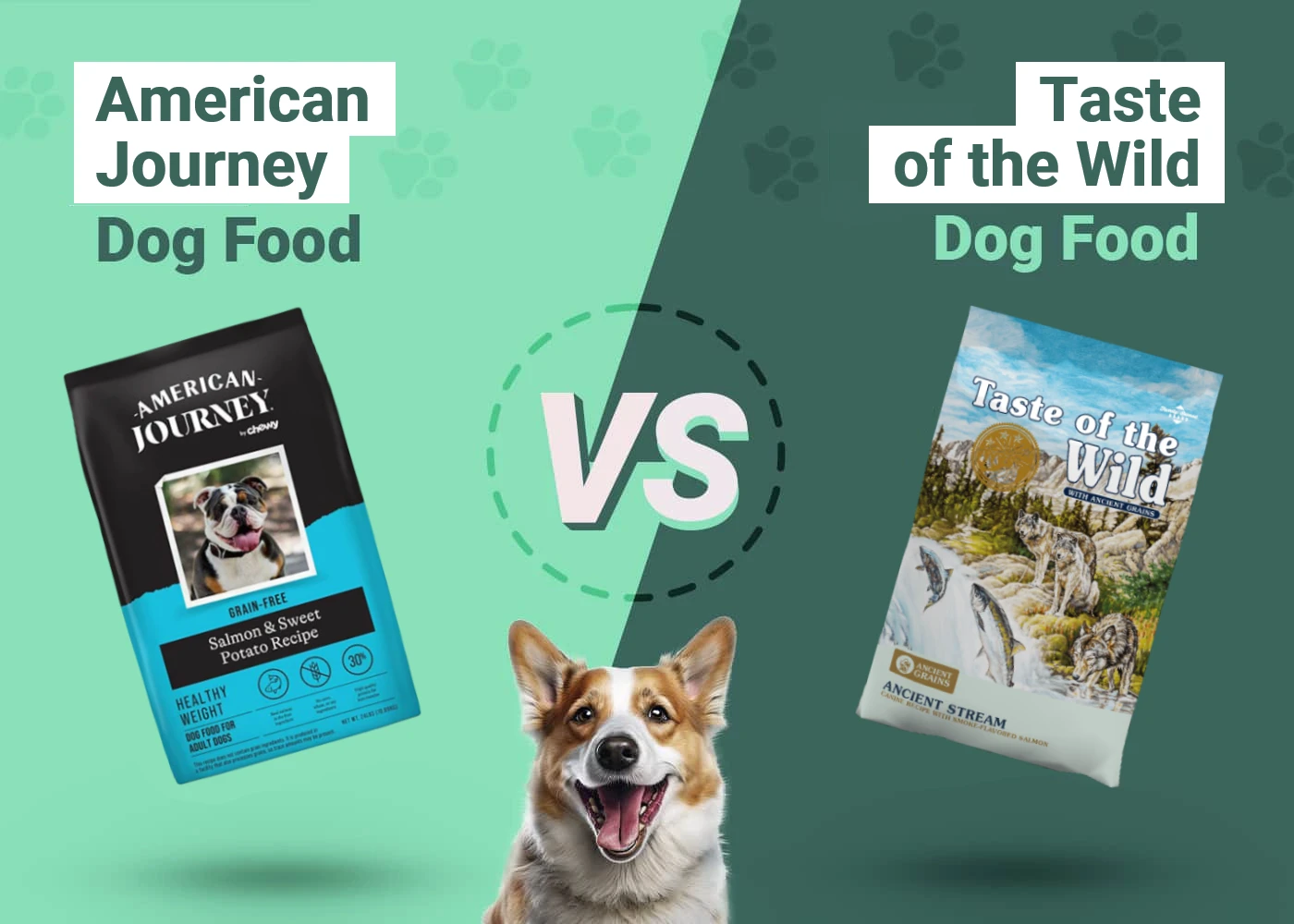 American Journey vs Taste of the Wild - Featured Image