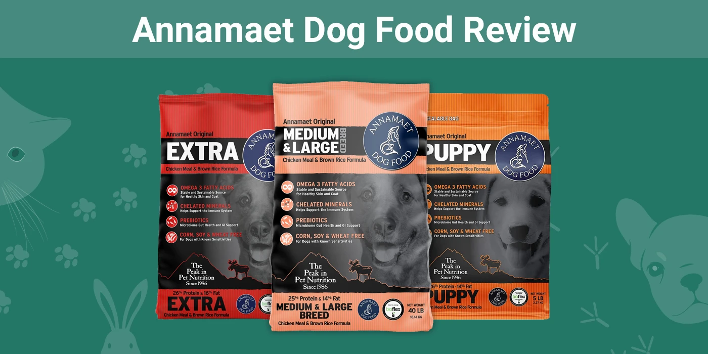 Annamaet Dog Food Review - Featured Image
