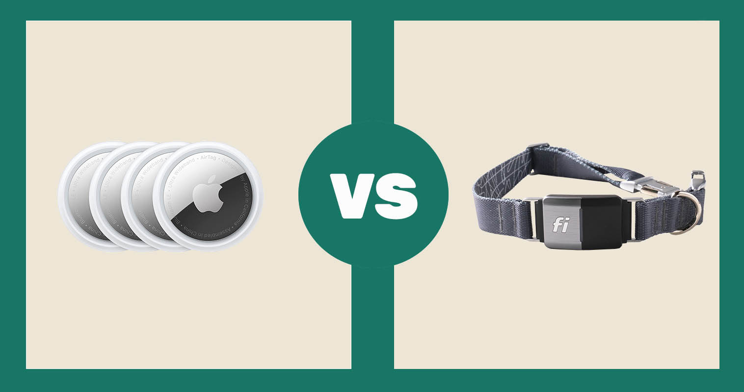 Apple AirTag Bluetooth Tracker vs Fi Dog Collar