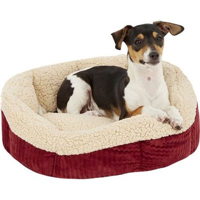 Aspen Pet Self-Warming Bolster Dog Bed