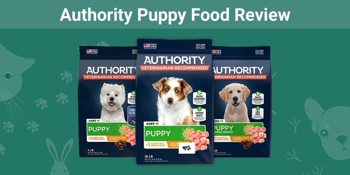 Authority Puppy Food - Featured Image