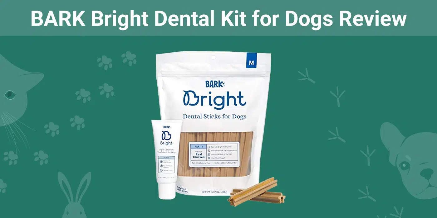 BARK Bright Dental Kit for Dogs Review 2024 An Expert's Breakdown