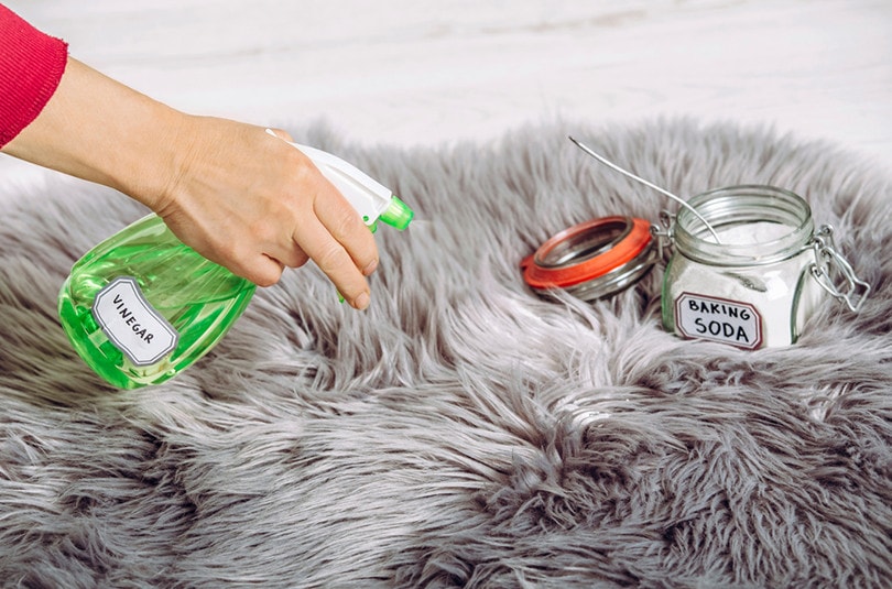 Baking Soda & Vinegar Solution