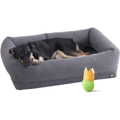 BarkBox Memory Foam Dog Bed