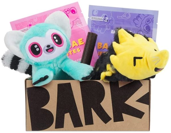 BarkBox Monthly Subscription Box