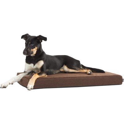 Barkbox Memory Foam Dog Bed