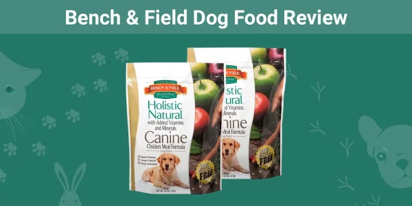 Bench & Field Dog Food - Featured Image