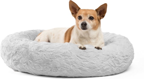 Best Friends by Sheri Calming dog bed_Chewy