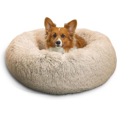 Best Friends by Sheri Calming Dog Bed