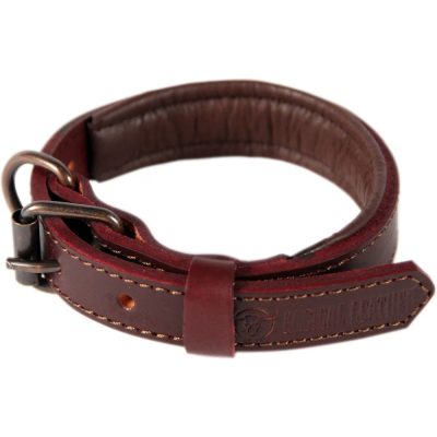 Logical Leather Padded Dog Collar